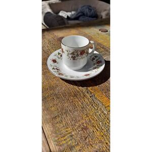 Vintage Demitasse Cup and Saucer Floral Porcelain Mid-century